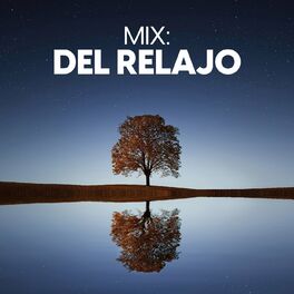 Album cover of Mix: Del relajo
