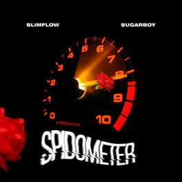 Album cover of Spidometer (feat. Sugarboy)