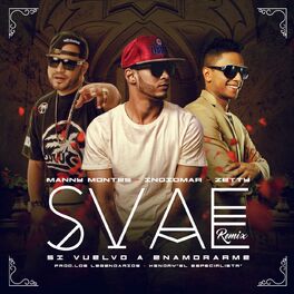 Album cover of Svae (Remix) [feat. Manny Montes & Zetty]