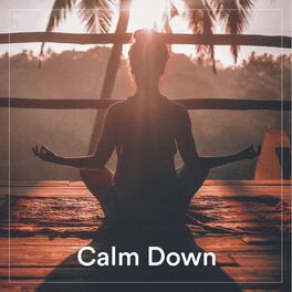 Album cover of Calm Down