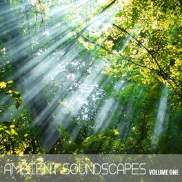 Album cover of Ambient SoundScapes, Vol 1