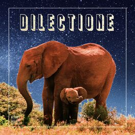 Album cover of Dilectione