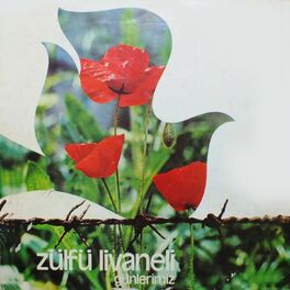 Album cover of Günlerimiz