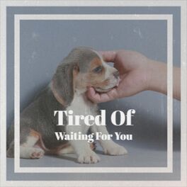 Album cover of Tired Of Waiting For You