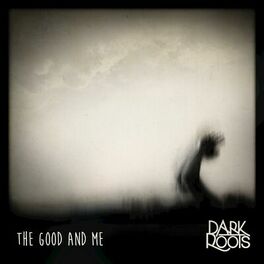 Album cover of The Good and Me (feat. Christian Larsson)