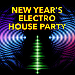 Album cover of New Year's Electro House Party