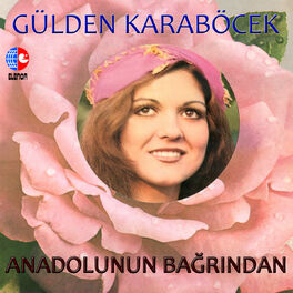 Album cover of Anadolunun Bağrından