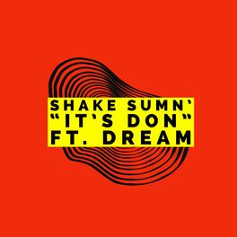 Album cover of Shake Sumn'