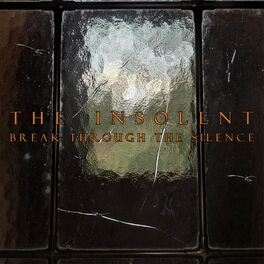 Album cover of Break Through The Silence