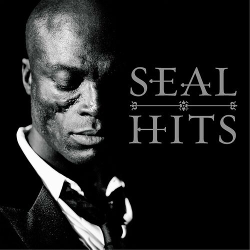 CRAZY (TRADUÇÃO) - Seal 