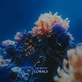 Album cover of Corals
