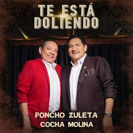 Album cover of Te Está Doliendo