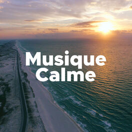 Album cover of Musique Calme - Musique de Yoga, Meditation et Relaxation
