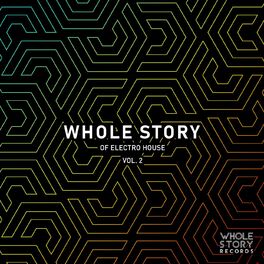 Album cover of Whole Story Of Electro House Vol. 2