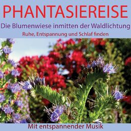 Album cover of Phantasiereise: Die Blumenwiese inmitten der Waldlichtung (Ruhe, Entspannung und Schlaf finden. Mit entspannender Musik)
