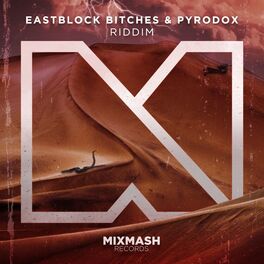 Album cover of Riddim