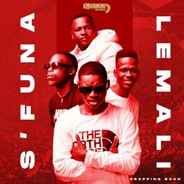 Album cover of S'funa lemali (feat. Big V)