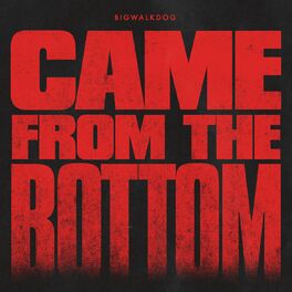 Album cover of Came from the Bottom