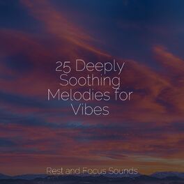 Album cover of 25 Deeply Soothing Melodies for Vibes