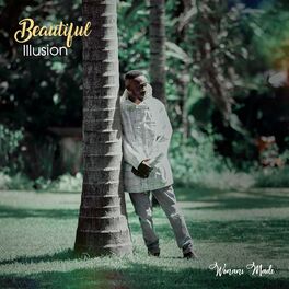 Album cover of Beautiful Illusion