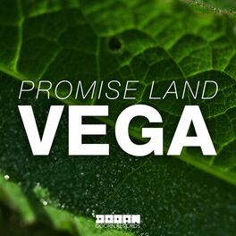 Album cover of Vega