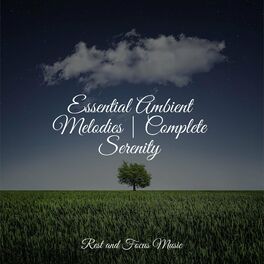 Album cover of Essential Ambient Melodies | Complete Serenity