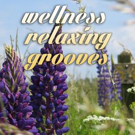 Album cover of Wellness Relaxing Grooves