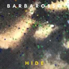 Album cover of Hide