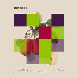 Album cover of Barcode Stuttgart