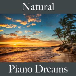 Album cover of Natural: Piano Dreams - A Melhor Música Para Relaxar