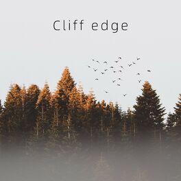 Album cover of Cliff edge