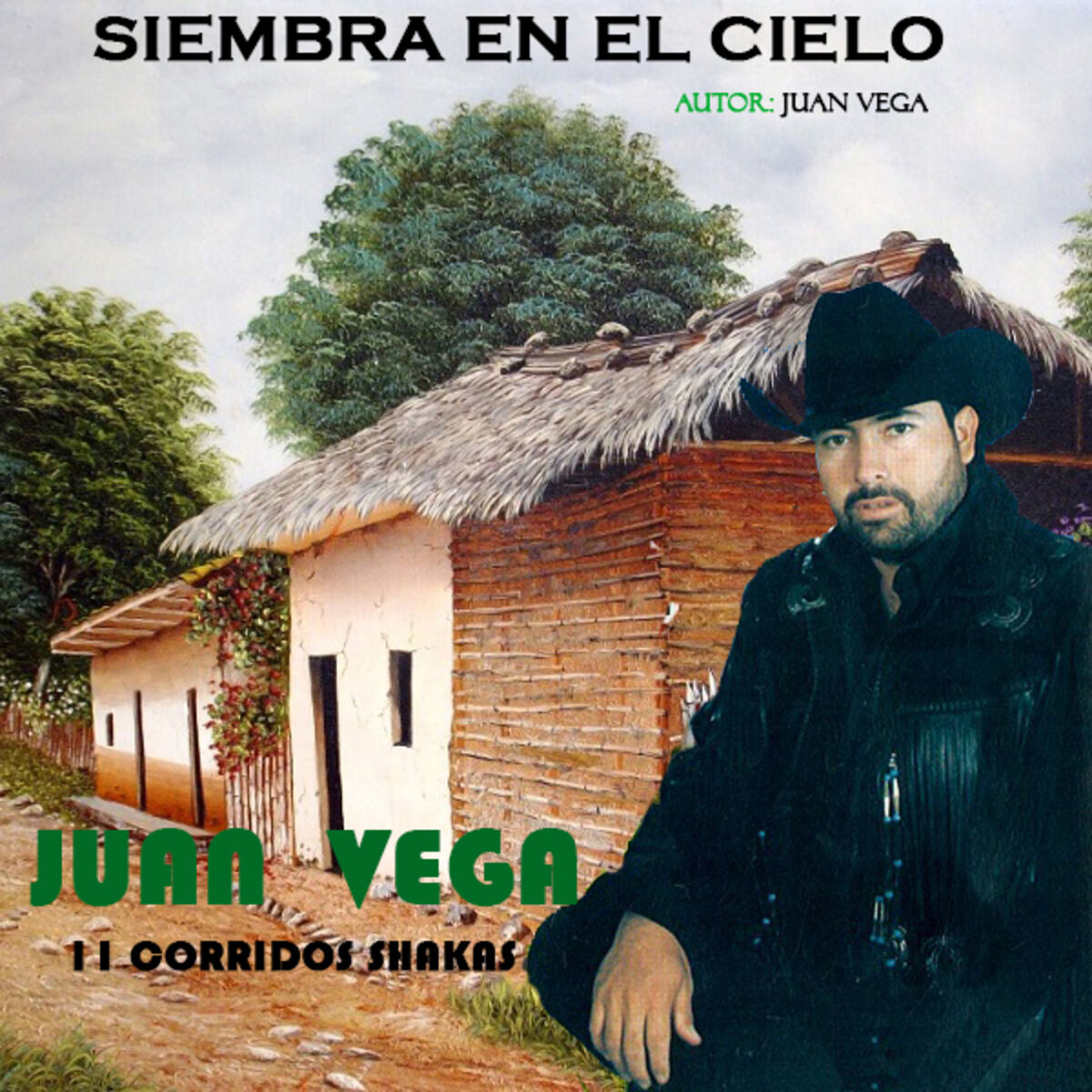 Juan Vega - Caballo Loco: listen with lyrics | Deezer