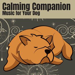 Album cover of Calming Companion Music for Your Dog