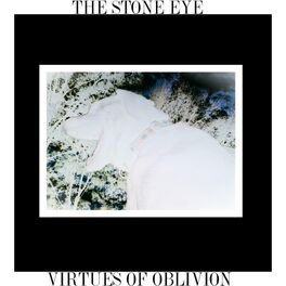 Album cover of Virtues of Oblivion