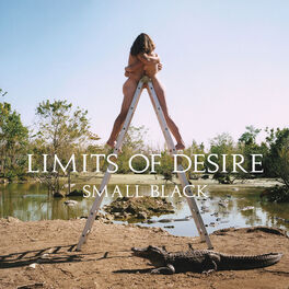 Album cover of Limits of Desire