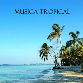 Musica Tropical Club - Tropical Beach Music (Musica Latina): listen with  lyrics | Deezer