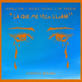 Album cover of LA QUE ME HIZO LLORAR