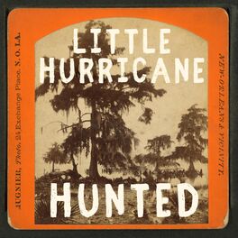 Album cover of Hunted