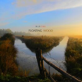 Album cover of Floating Wood