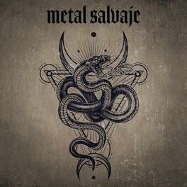 Album cover of Metal Salvaje