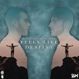 Album cover of Feels Like Destiny