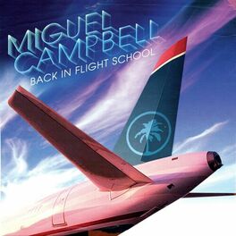 Album cover of Back In Flight School