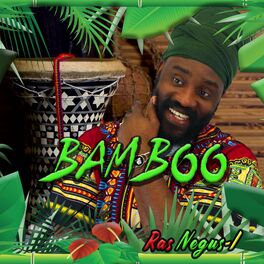 Album cover of BAMBOO