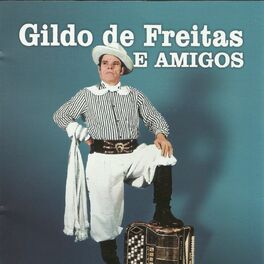 Album cover of Gildo Freitas e Amigos