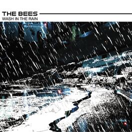 Album cover of Wash In The Rain