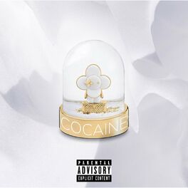 Album cover of COCAINE FREESTYLE (feat. Big Yavo)