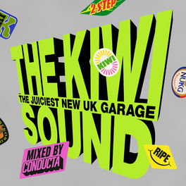Album cover of The Kiwi Sound (DJ Mix)