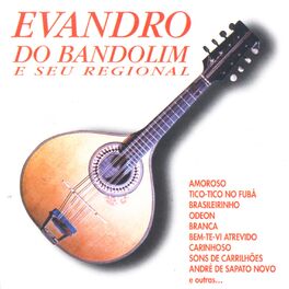 Album cover of Evandro Do Bandolim e Seu Regional