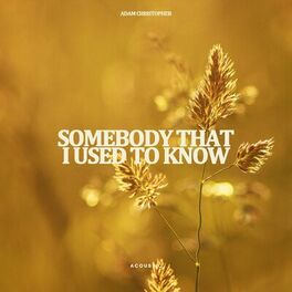 Album cover of Somebody That I Used to Know (Acoustic)