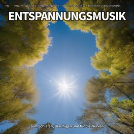 Album cover of #01 Entspannungsmusik zum Schlafen, Beruhigen und für die Nerven